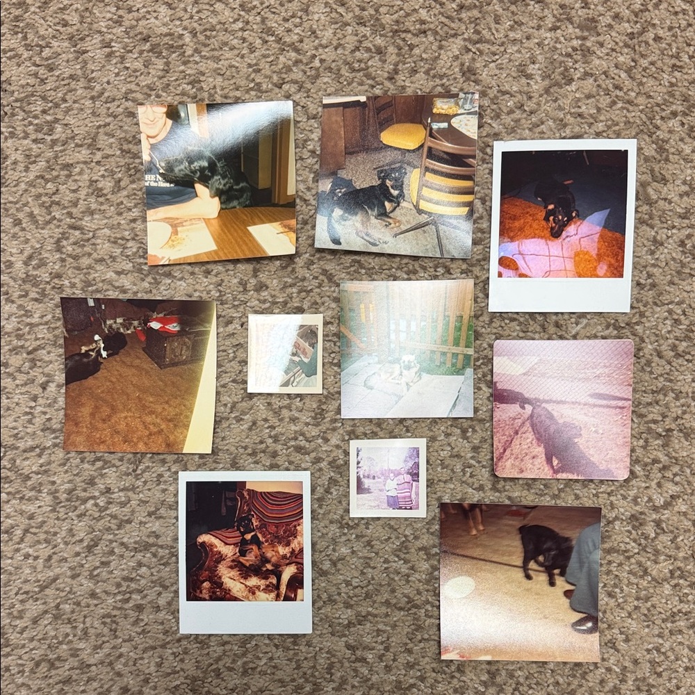 Vintage Polaroid Photo Collection